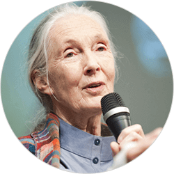 Dr. Jane Goodall - Animals - Guest Speaker